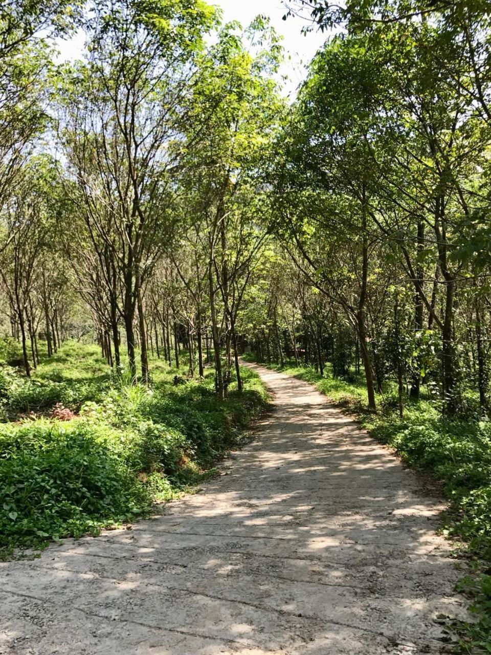 Nutmeg Valley ادوكي المظهر الخارجي الصورة