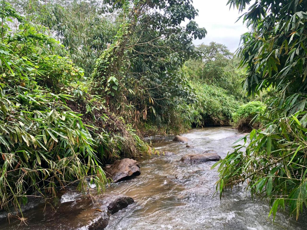 Nutmeg Valley ادوكي المظهر الخارجي الصورة